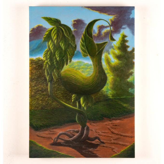 Marco Mastropieri, Aristolochia, 2026, olio su tela, 50x35 cm
