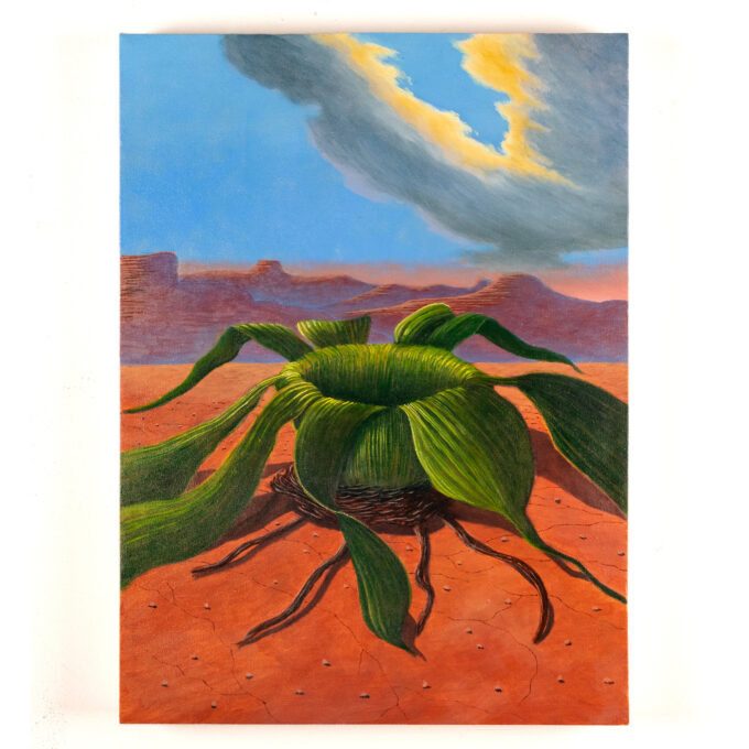 Marco Mastropieri, Welwitschia, 2026, olio e acrilico su tela, 50x37 cm